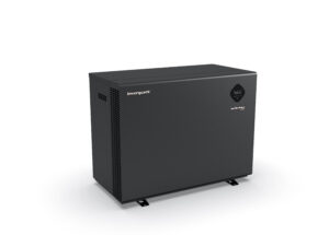 Mr. Perfect  left side.jpg