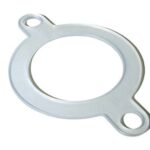 Fladi.jpg