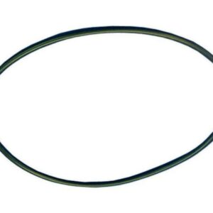 behncke-o-ring-fuer-filter-cristall-dichtung-filterbehaelter~2.jpg