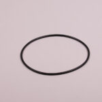 Astral O-Ring.jpg